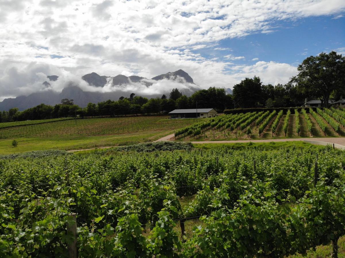 Villa Le Pommier Wine Estate Stellenbosch Exterior foto