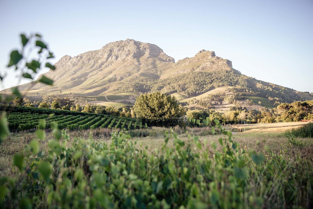 Villa Le Pommier Wine Estate Stellenbosch Exterior foto